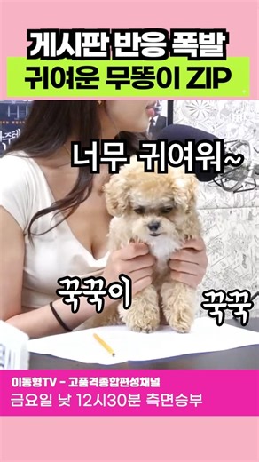 게시판 반응 폭발. 귀여운 무똥이 ZIP