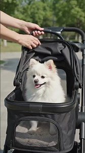 ￼ Wohh double-decker pet stroller