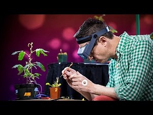 Electrical experiments with plants that count and communicate | Greg Gage