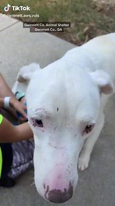 104K views · 7.2K reactions | SENIOR ALERT This very sweet and...