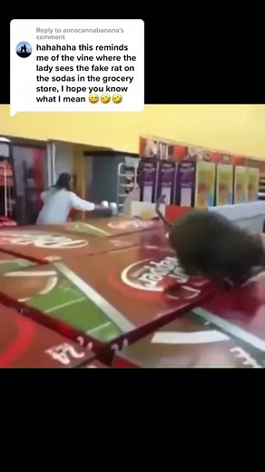 Top 10 Funniest Vine Videos Compilation