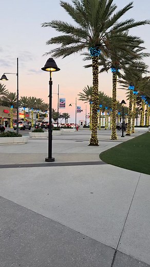 Las olas Beach Fort lauderdale | Tours Mar & Sol