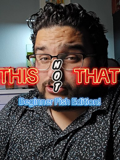 This or That: Beginner Fish Edition (Platy vs. Goldfish)