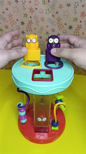 coolest owl shape sorter loop