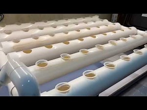 Vevor hydroponic system complete set! easy to assemble