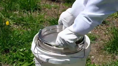 Stainless Steel Honey Strainer Double Sieve Mesh Fliter Beekeeping Equipment Tools,Double Bee Sieve Honey Debris Strainer