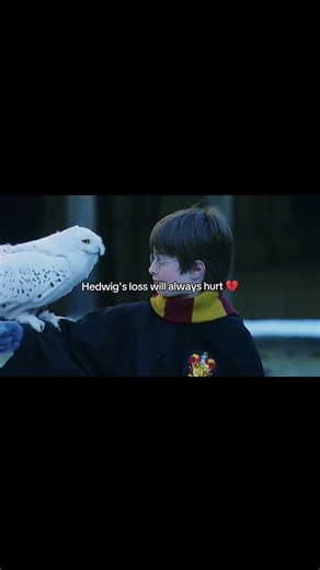 The Pain of Losing Hedwig in Harry Potter