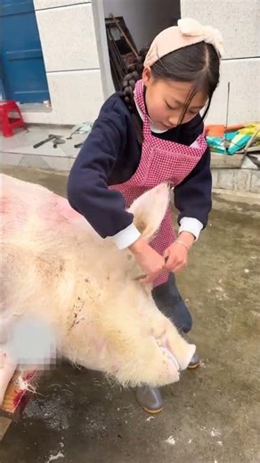 Back to School & Spring Festival Countdown: Ultimate Summer Prep Guide