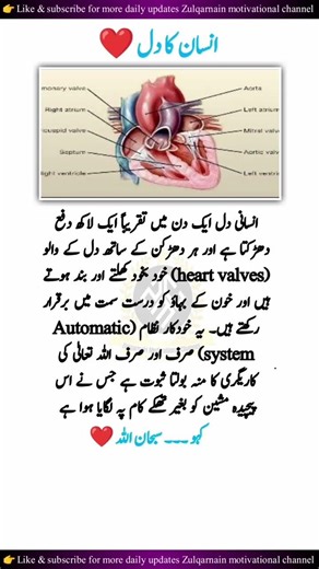 4 Life-Changing Qoutes That Will Inspire & Motivate You ❤️ #shortsfeed #qoutes