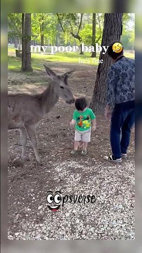 #45 Animals vs Humans – Epic Funny Clips Compilation