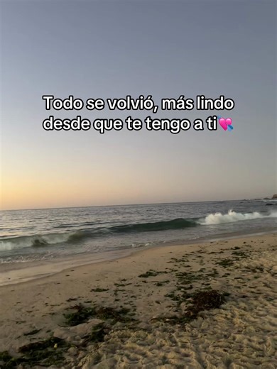 Celebrando el Amor: Todo se Volvió Más Lindo 💘