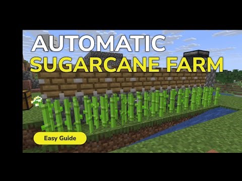 How to Build an Automatic Sugarcane Farm in Minecraft - Easy Tutorial