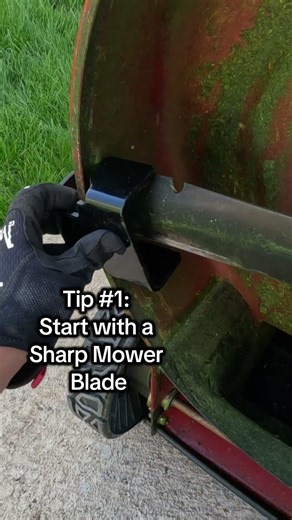 How to Spring Mowing Start ✂️ – Simple Lawn Care Tips for Homeowners #SpringMowing #LawnCare