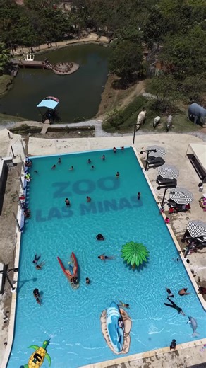 💦 ¡Ya abrimos nuestra nueva piscina! Ven a refrescarte, relajarte y disfrutar en familia rodeado de naturaleza. 🌿 Te esperamos en el parque para vivir momentos increíbles este verano