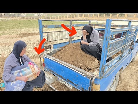 Incredible home transformation! Parisa buys a patio door and starts planting beautiful flowers