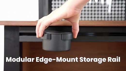 Domitree ALT: 10-in-1 Electric Standing Desk+Hidden Storage