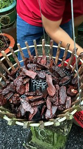 225K views · 2.6K reactions | Sang chậu và phục hồi dò lan có dễ hay không cùng em kiểm chứng nha !! | Hoa Lan Bốn Mùa | Facebook