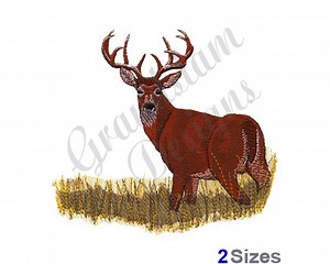 Whitetail Deer - Machine Embroidery Design - Etsy