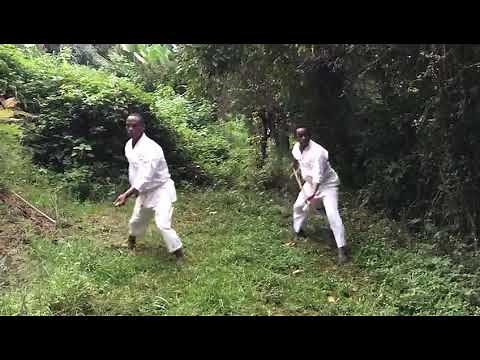 How to perform 21 jo kata in aikido