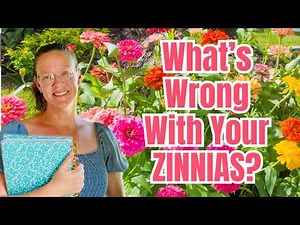 🌸 What's Wrong with Your Zinnias? 🪴 10 ZINNIA Problems & How to Fix Them