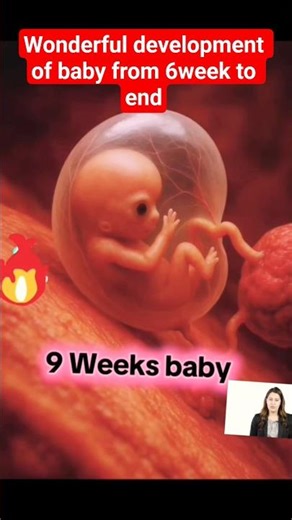 Fetus Development From 6 Weeks to Birth | Amazing 3D Pregnancy Growth Timeline