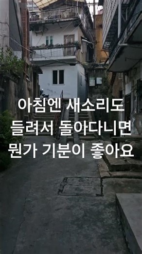 A walk through the alleys near the Shaman accommodation