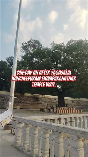 One day an After yagasalai | kancheepuram Ekamparanathar temple visit. Subscribe to the channel
