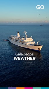 ☀️ Galapagos Weather: First Quarter of the Year 🌊🏝️ The first months of the year bring warm temperatures and crystal-clear waters, making it the perfect time for snorkeling, wildlife spotting, and beach adventures! 🌦️ Pack your swimsuit, sunscreen, and adventure spirit—the Galapagos are waiting! ✨ . . #galapagosweather #besttimetovisit #tropicalparadise #GoGalapagos #galapagoscruises #galapagosislands | Go Galapagos Experience