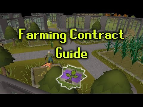 Farming Contracts Guide OSRS