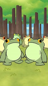 Fun Fact: Some species of tarantulas keep frogs as “pets” in a mutualistic relationship. The frogs eat insects that would otherwise threaten the tarantulas’ eggs, and in exchange, the tarantulas offer them protection from predators. 🐸🕷️🦮 #naturalhabitatshorts #naturalhabitat #naturalhabitok | Natural Habitat Shorts