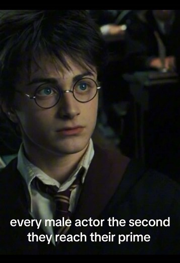 Timothée Chalamet: Rising Stars in Film and Harry Potter