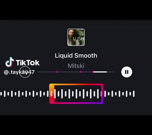 Mitski - Liquid Smooth Official Audio
