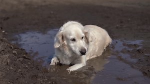 How water recycling turns wastewater into drinking water