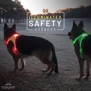 1.8M views · 341 reactions | "Best harness ever! I bought this a week ago and couldn’t be happier walking my pocket bully at night now! LOVE that it fits his chest which is 40”!! Definitely worth getting!! Thank you!! " --- @chellechelle71 11.19.18 | Noxgear | Facebook