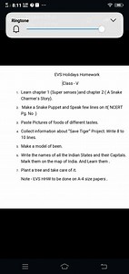 Ringtone EVS Holidays Homework Class - V... | Filo