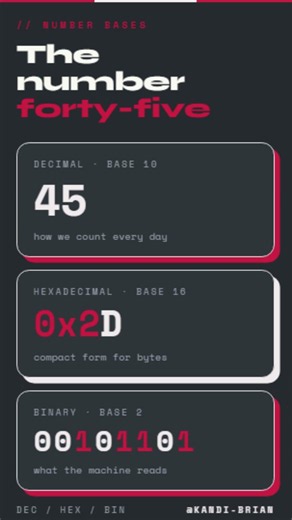 Number Forty Five in Binary, Hexadecimal, and Decimal