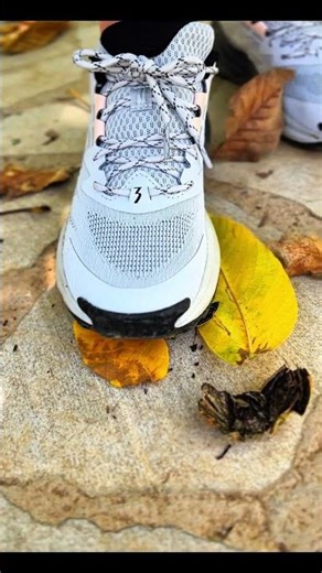 Why Does This Sound So Good?! 🤯 | Foot ASMR Crush #ASMR #shorts