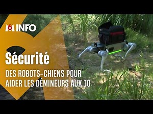 JO : des robots-chiens pour épauler les démineurs
