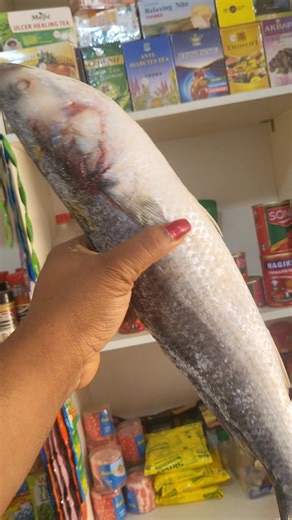 mullet 3800 per kg#frozenfoodandicecreamshop #maigero #kaduna