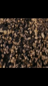 8.3K views · 115 reactions | The Birth of Sandman #marvel #movie #adventure | Xwarriors | Facebook