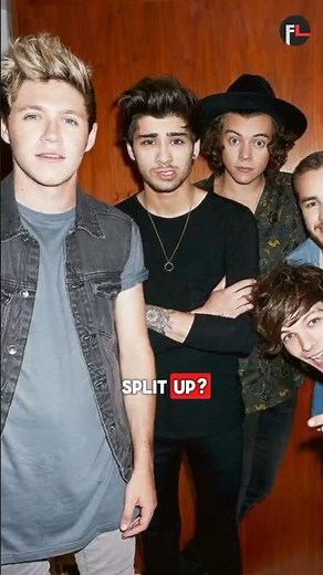Why did One Direction split up?