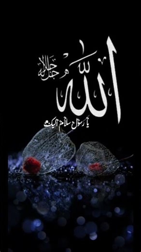 islimick #sort vdo pata chennal te subscribe korba please #haveitoldyoulatelythatiloveyou