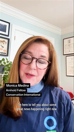 Conservation International | Why is today different than all others? Because history has been made and the High Seas Treaty has entered into force! This moment is... | Instagram