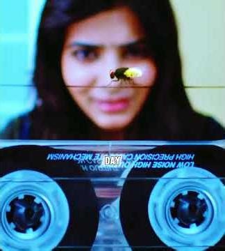 He Came Back as a Fly. His Girlfriend Trained It for Revenge. #clips #movie #foryou #movieclips