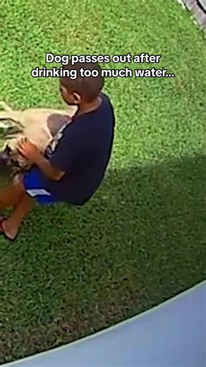 Mason's Heartwarming Act of Kindness Towards a Puppy