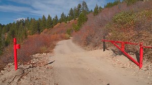 Forest Service: Wilks brothers' gates on Forest Service road are illegal