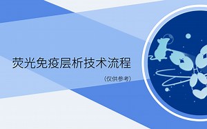 荧光免疫层析技术流程（仅供参考）