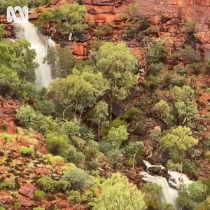 Watarrka National Park magic Recent rainfall at Kings Canyon have transformed the region into wonderful waterfalls. 📽Chris Hakanson for Remote Tours | ABC Alice Springs