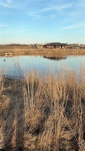 Spring frog chorus 🐸🔊 Cedar Rapids, Iowa (nature’s dating season 😄)