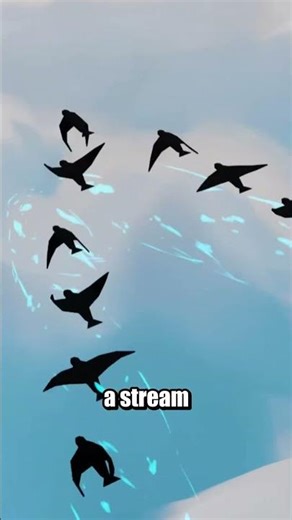 Why do Birds Fly in a V Formation? #shorts